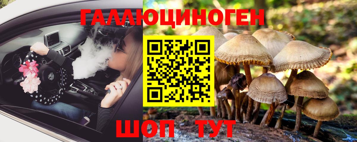 Галлюциногенные грибы Magic Shrooms  Вход с VPN  Брянск 